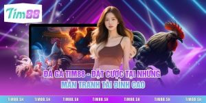 Đá Gà Tim88 - Đặt Cược Tại Những Màn Tranh Tài Đỉnh Cao