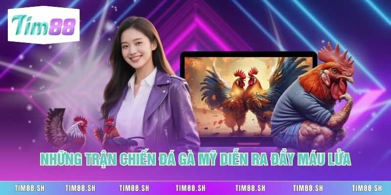 Những trận chiến đá gà Mỹ diễn ra đầy máu lửa