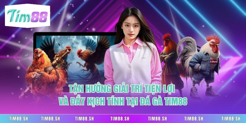 Tận hưởng giải trí tiện lợi và đầy kịch tính tại Đá Gà Tim88