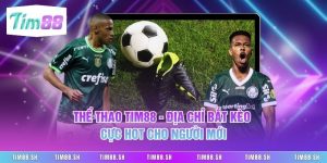 Thể Thao Tim88 - Địa Chỉ Bắt Kèo Cực Hot Cho Người Mới